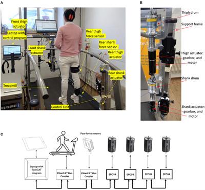 Development of an Active Cable-Driven, Force-Controlled Robotic System for Walking Rehabilitation